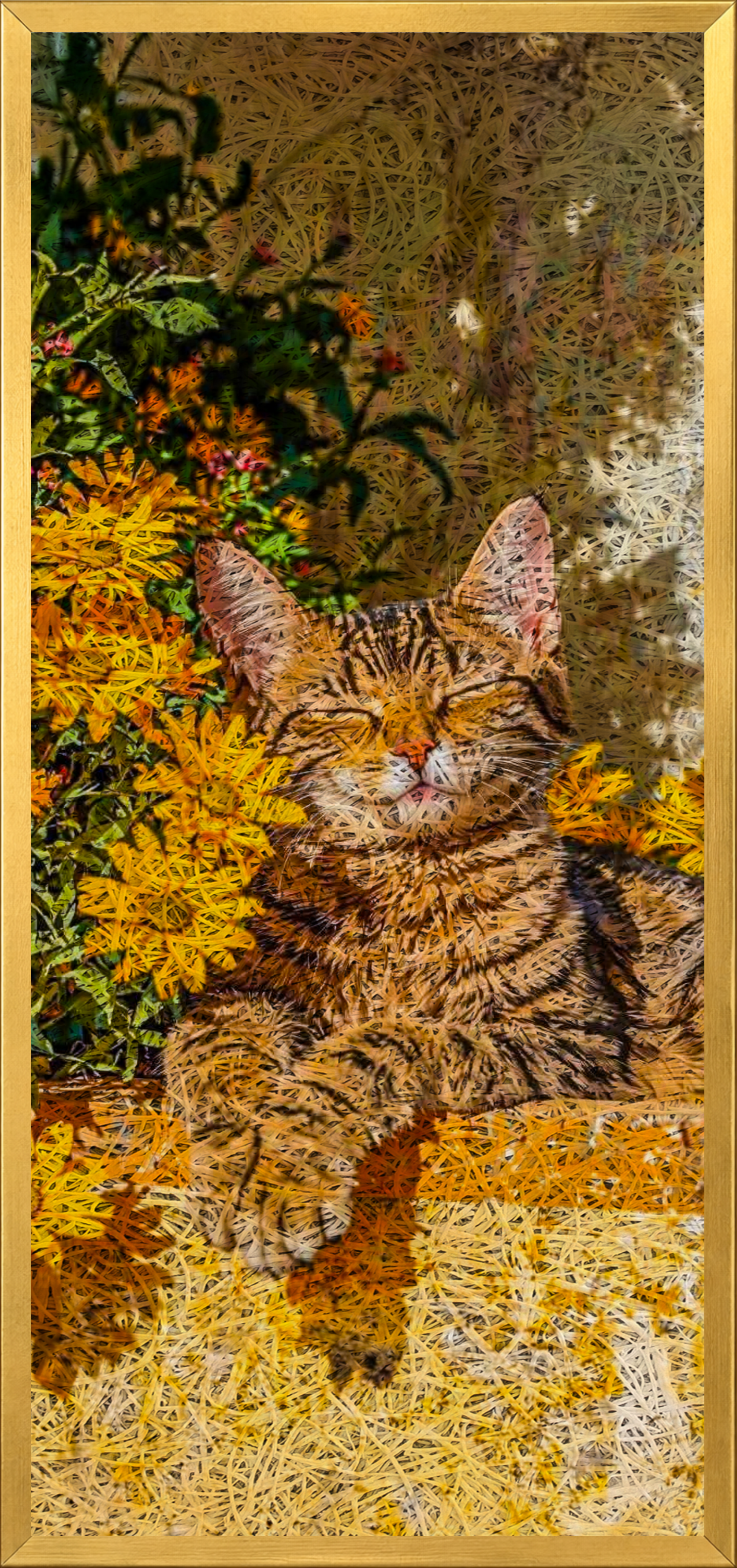 CAT Printed Acoustic Photo Frame view 6